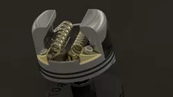 Protea RDA