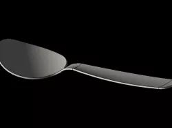 Spoon