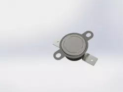 thermoswitch