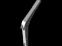 Arm
