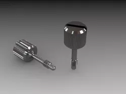 Captive Panel Screw