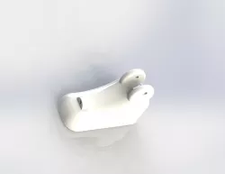 Foot Model