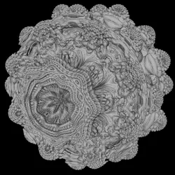 Fractal Doodle
