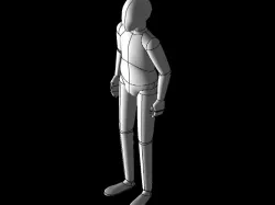 human model