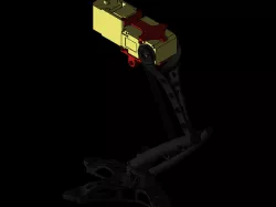leg of dragon
