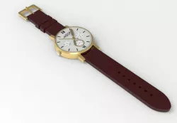 Luxury watch