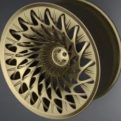 Organic Shaped Car Rim
