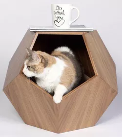 Pet's house #1