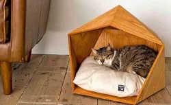 Pet's house #2