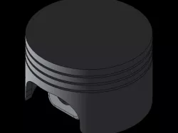Piston