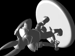 Rabbit Warrior