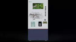 Self-service tea machine