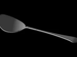 Spoon