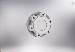 Buggy Wheel Nut
