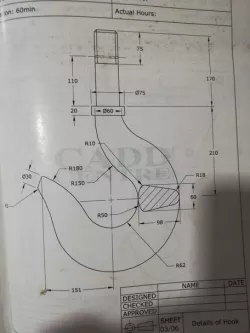 Crane hook