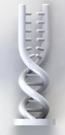 DNA double helix