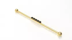 Ear Industrial Bar
