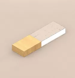 Flash Memory