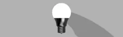 FOCO LED
