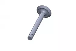 IC engine valve