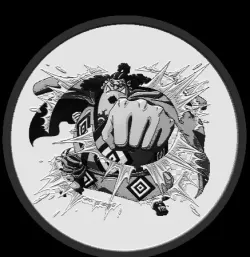 jimbe one piece coasters