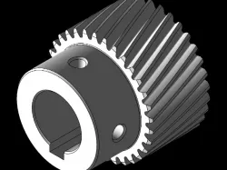 pinion