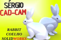 RABBIT 3D MODEL SÉRGIO CAD CAM