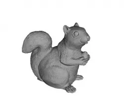 Squirrel