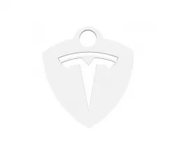 Tesla keychain