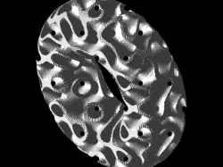 Torus TPMS Latticed_30% volume fraction