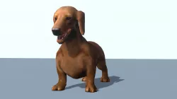 Animated dacshund Low-poly  3D model