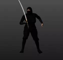 Animated Ninja 3D model