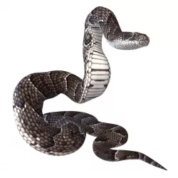 Animated Puff Adder Snake Low-poly  3D model