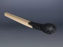 Burned Match
