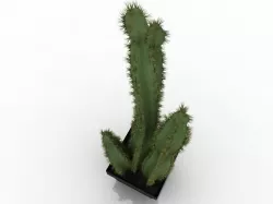 cactus 3D model