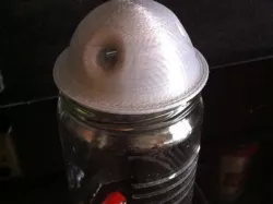 Domed Flytrap