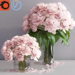 Elegant pink peonies in 2 vases 3D model
