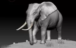 elephant 3D model