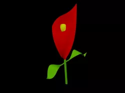 FLOWER JPAP