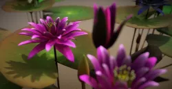 FLower Nymphaea Low-poly  3D model