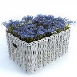 Flowers in a Basket 3D model