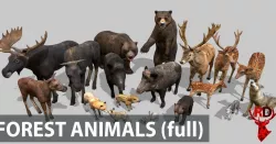 FOREST ANIMALS full version Low-poly  3D model
