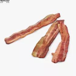 Fried Bacon 3D model