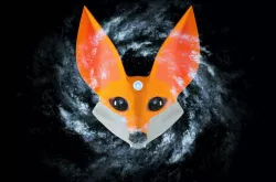 Galaxy Fox 3D model