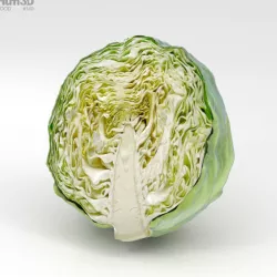 Half a Cabbage 3D model