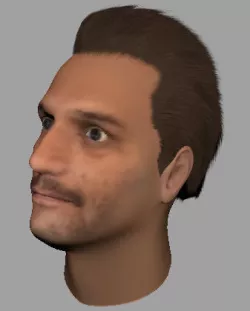 low-poly man hair Low-poly  3D model