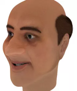 low poly old man hair Low-poly  3D model
