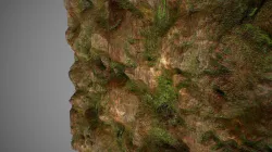 PBR seamless jungle rock textures Texture