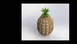 Pineapple model finishing