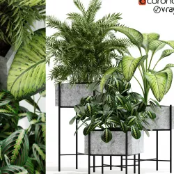 Plants collection 143 Opalo 3D model